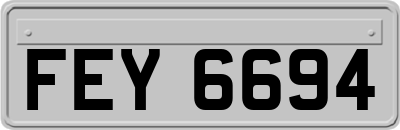 FEY6694