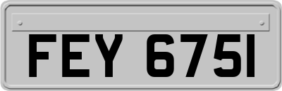 FEY6751