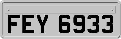 FEY6933