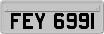 FEY6991