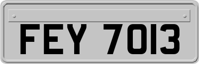 FEY7013