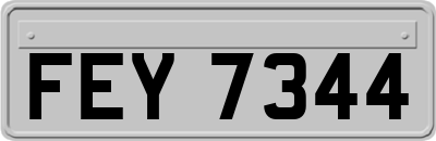 FEY7344