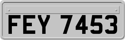 FEY7453