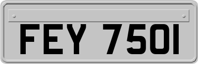 FEY7501