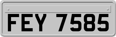 FEY7585