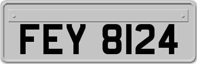 FEY8124