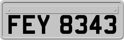 FEY8343