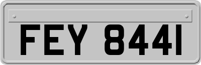 FEY8441