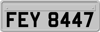 FEY8447
