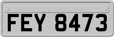 FEY8473