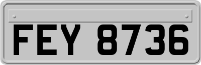 FEY8736