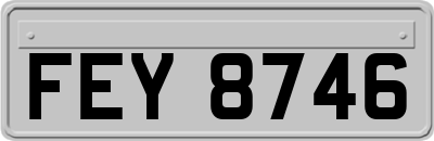 FEY8746