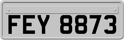 FEY8873
