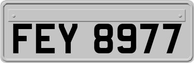 FEY8977