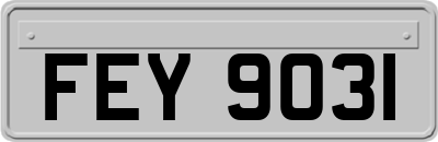FEY9031
