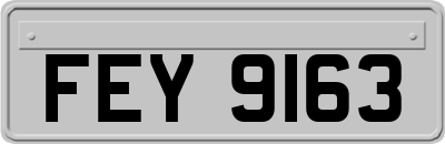 FEY9163