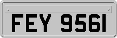 FEY9561
