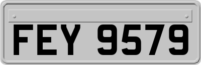 FEY9579