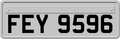 FEY9596
