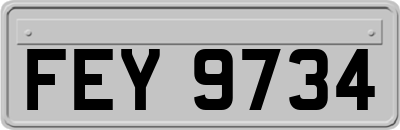 FEY9734