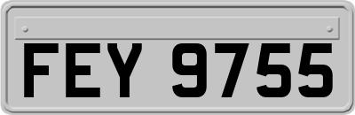 FEY9755