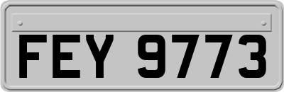 FEY9773