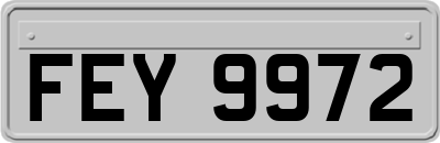 FEY9972