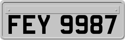 FEY9987