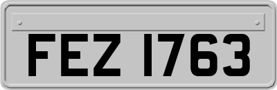 FEZ1763