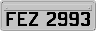 FEZ2993