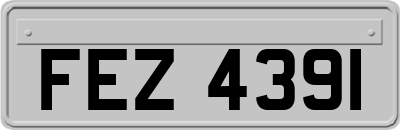 FEZ4391