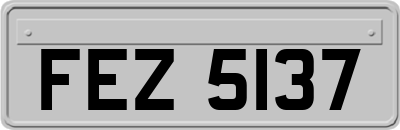 FEZ5137