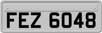 FEZ6048