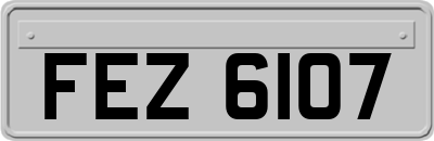 FEZ6107