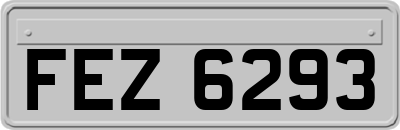 FEZ6293
