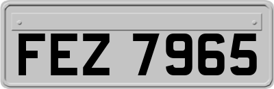 FEZ7965