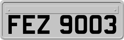 FEZ9003
