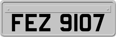 FEZ9107