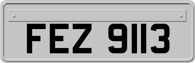 FEZ9113
