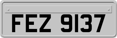 FEZ9137