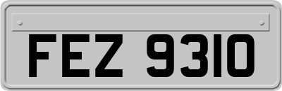 FEZ9310