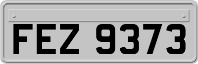 FEZ9373