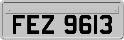 FEZ9613