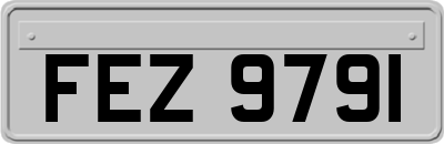 FEZ9791