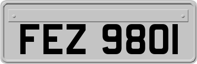 FEZ9801