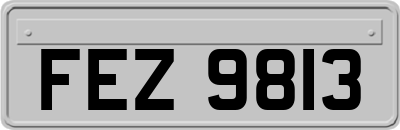 FEZ9813