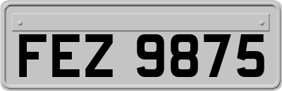 FEZ9875