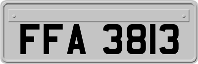 FFA3813