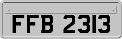 FFB2313