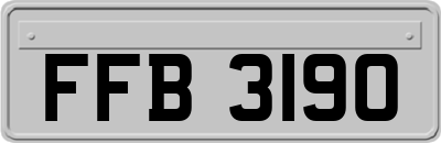 FFB3190
